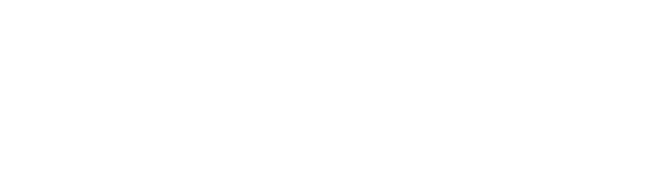 FlowFi Logo